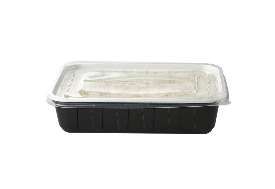 Black Small Plastic Lunch Box