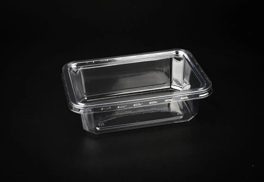 Transparent Large Plastic Lunch Box