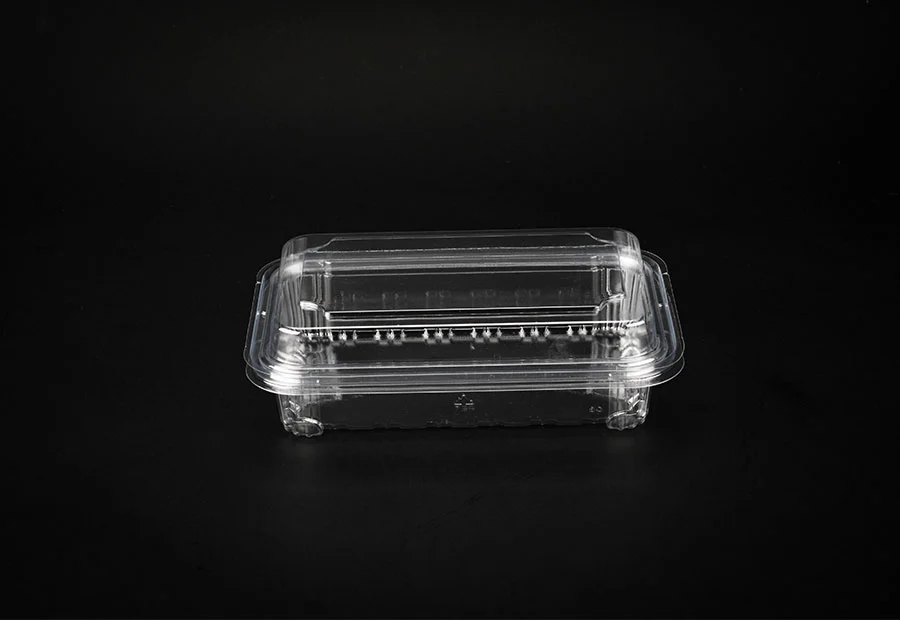 Transparent Large Plastic Lunch Box