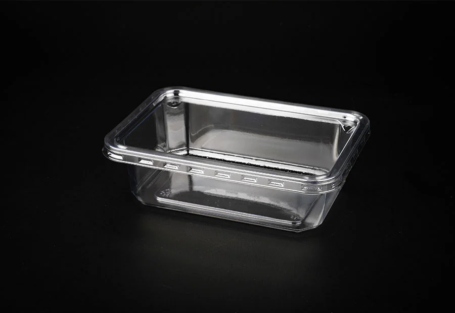 Transparent Large Plastic Lunch Box