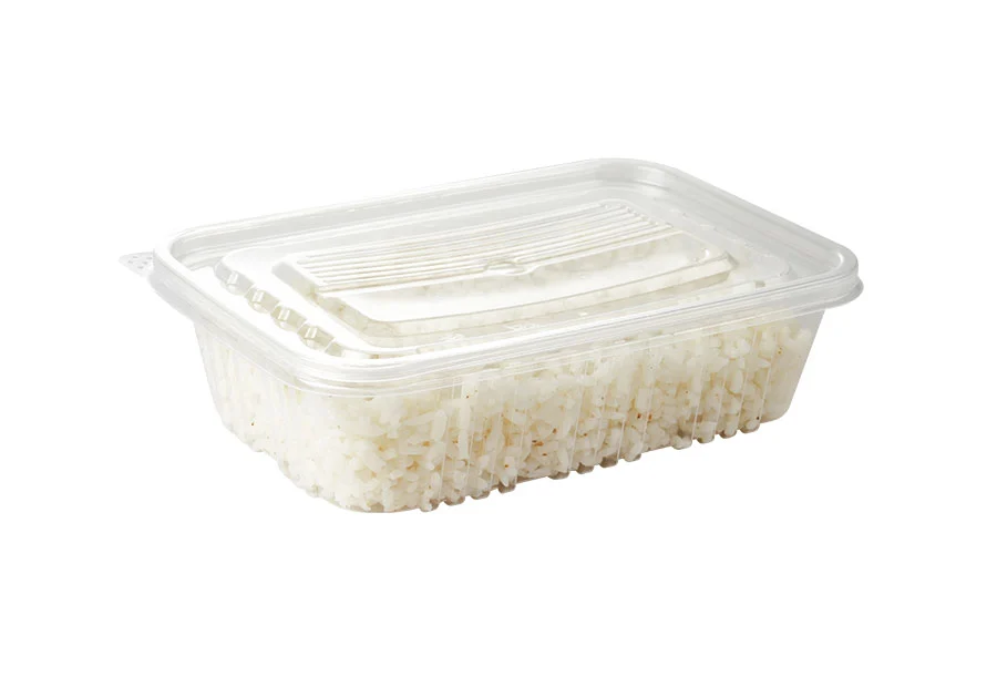 Transparent Small Plastic Lunch Box