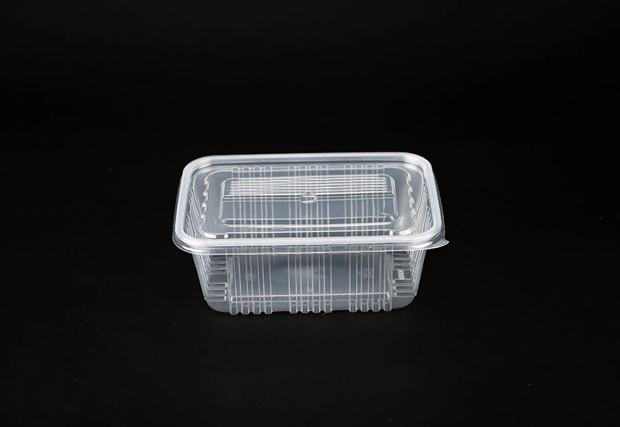 Transparent Small Plastic Lunch Box