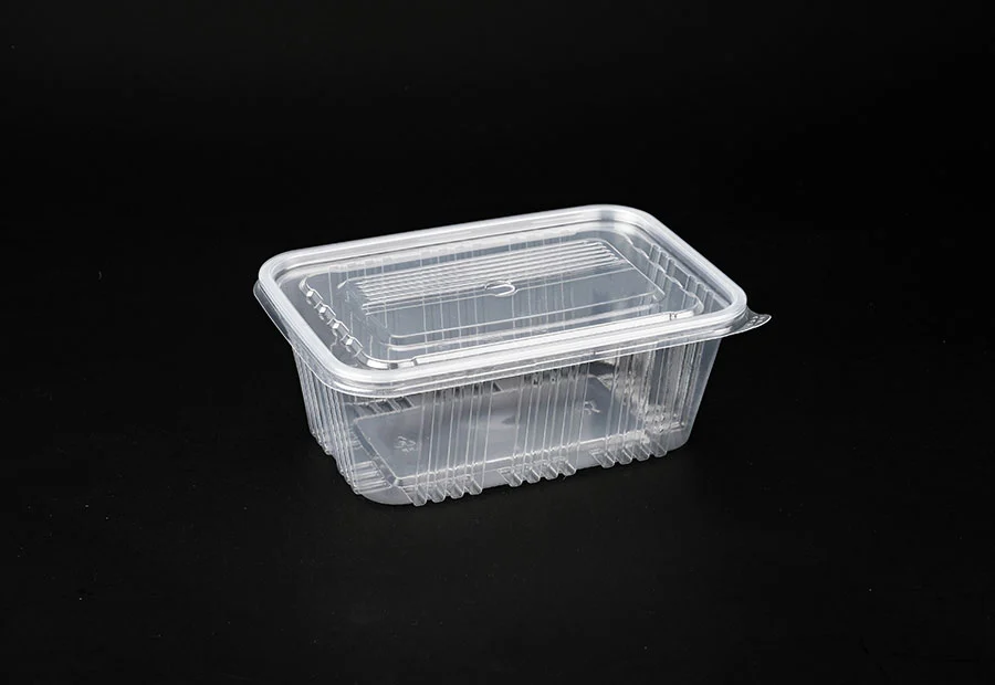 Transparent Small Plastic Lunch Box