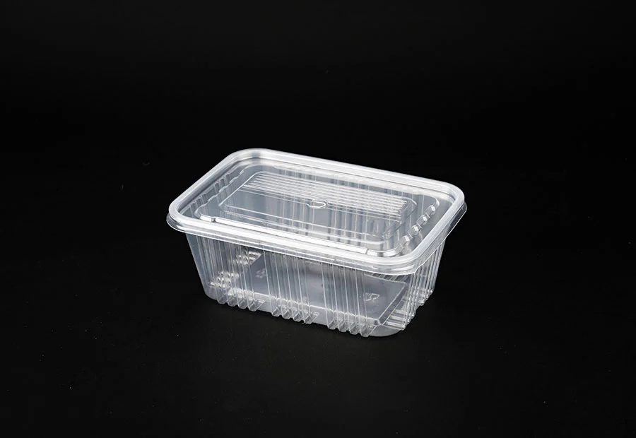 Transparent Small Plastic Lunch Box