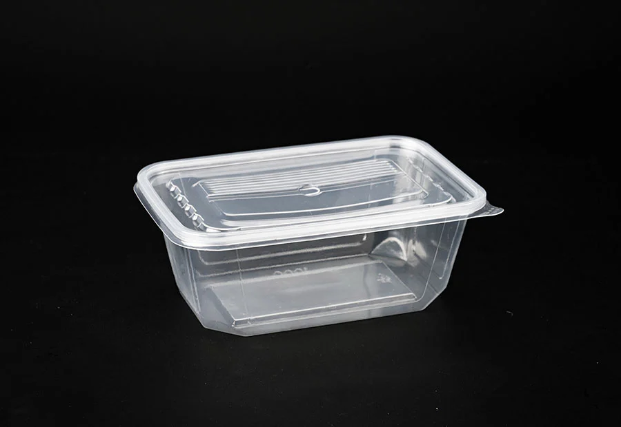 Transparent Small Plastic Lunch Box