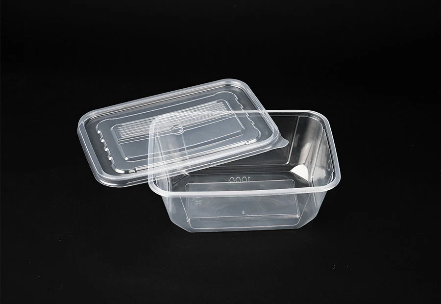 Transparent Small Plastic Lunch Box