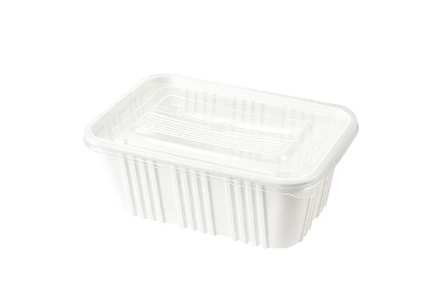 White Large Plastic Lunch Box