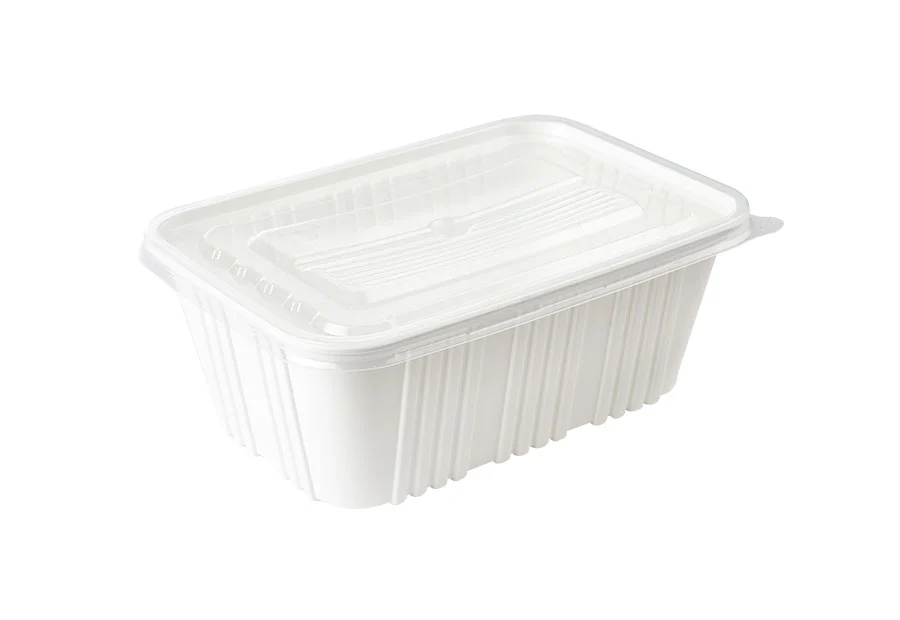 White Large Plastic Lunch Box