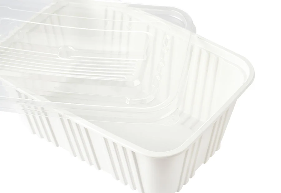 White Large Plastic Lunch Box