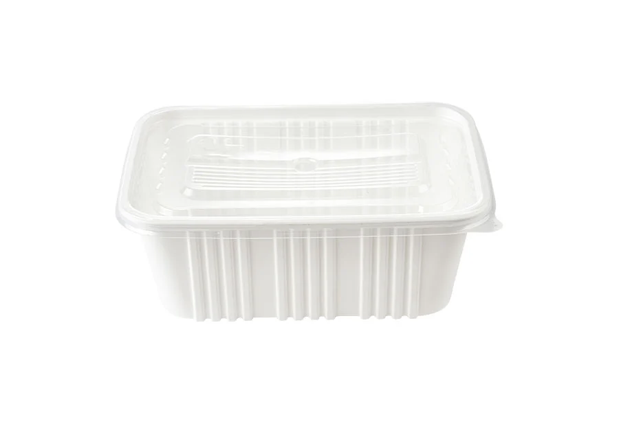 White Large Plastic Lunch Box