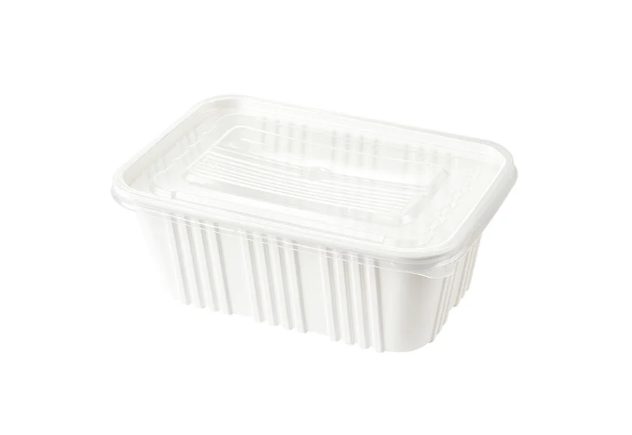 White Large Plastic Lunch Box