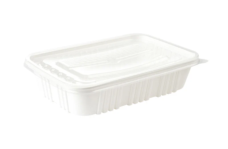 White Small Rectangle Plastic Container