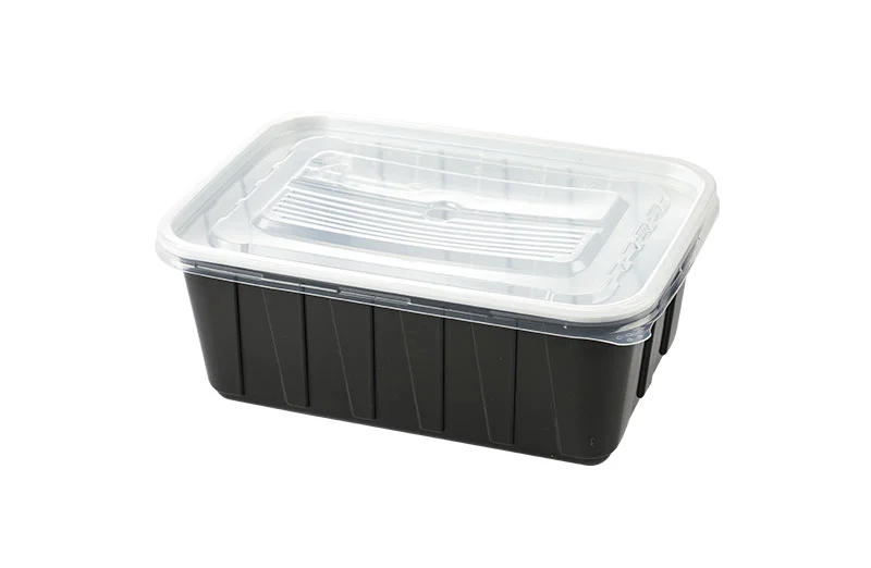 Black Large Plastic Lunch Box