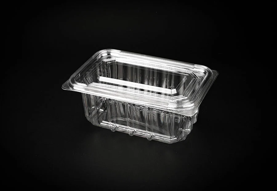 Dessert Pastry Takeaway Food Container