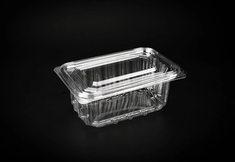 Dessert Pastry Takeaway Food Container